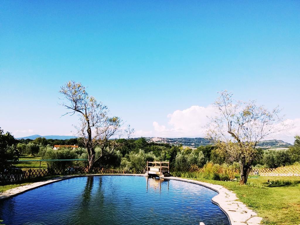 Agriturismo Il Poderino Bibbona Exterior foto