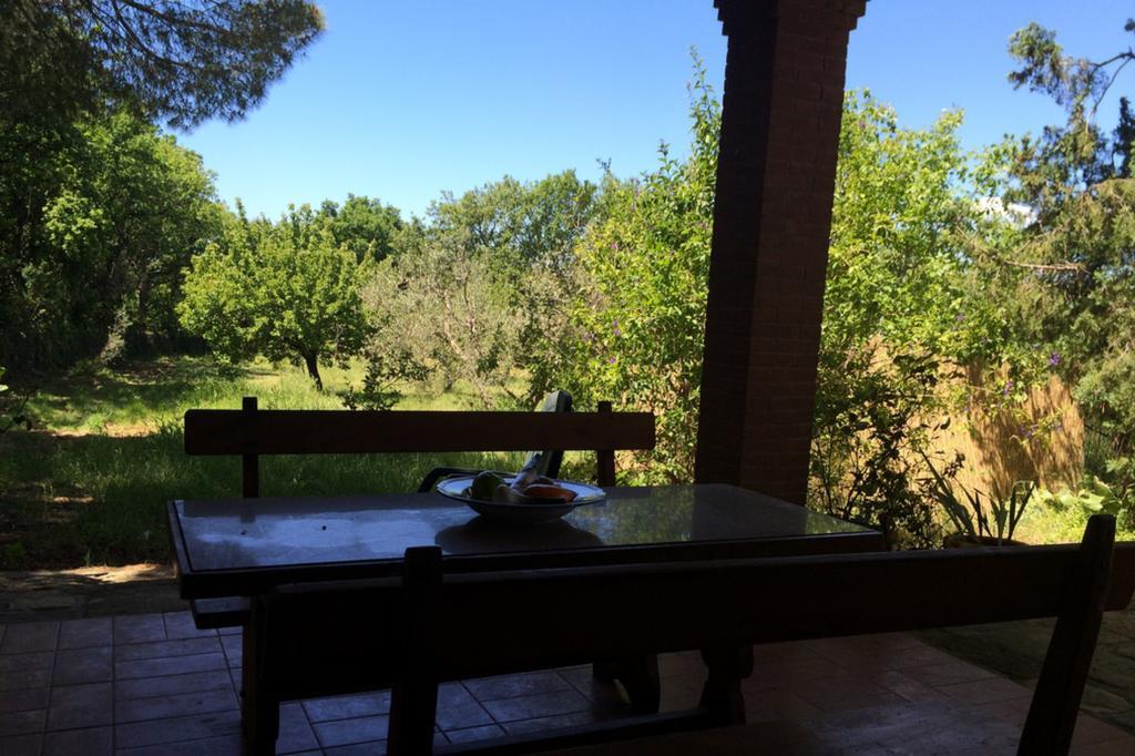 Agriturismo Il Poderino Bibbona Quarto foto